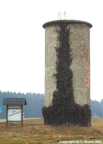 Zurück zur Auswahl