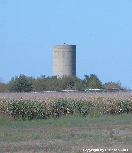 Zurück mit Mausklick