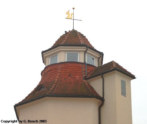 Zurück zur Auswahl